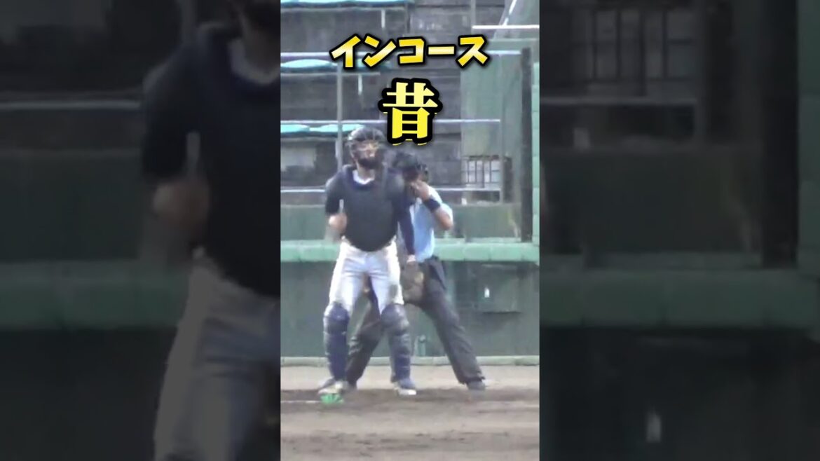 インコースの打撃 進化が見て取れる #shorts #baseball #野球 #batting #バッティング #野球のミカタ #打撃探究部屋