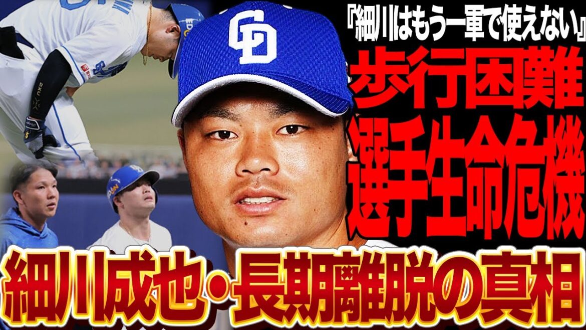 細川成也の長期離脱が確定的になったヤバい…不振に続いて戦線離脱を余儀なくされた主砲に対するチームの評価に驚愕!細川の現状から囁かれ始めている「現役ドラフト現解説」に言葉を失う…【プロ野球】 細川成也の長期離脱が確定的になったヤバい…不振に続いて戦線離脱を余儀なくされた主砲に対するチームの評価に驚愕!細川の現状から囁かれ始めている「現役ドラフト現解説」に言葉を失う…【プロ野球】