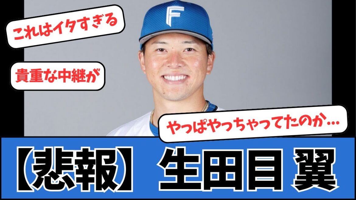 【悲報】日ハム、生田目翼