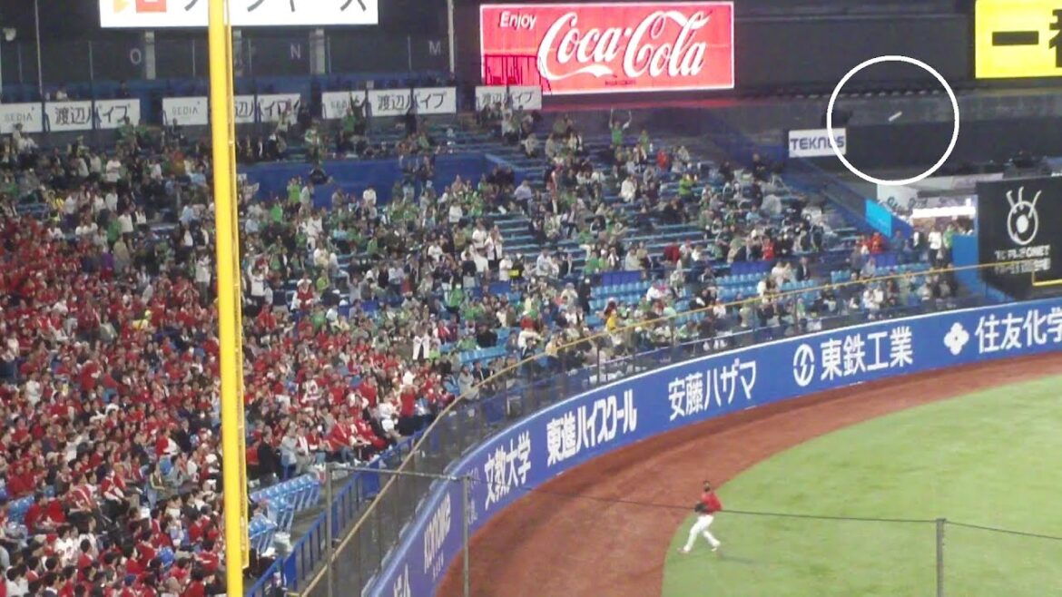 ヤクルト サンタナ 同点のホームラン 第2号　ヤクルト vs 広島　2025年5月7日(水) 神宮球場