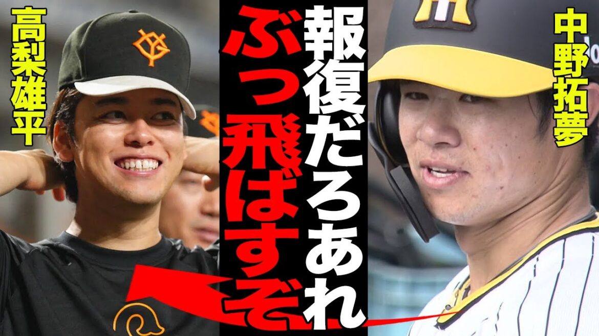 中野拓夢が激白した高梨雄平への怒りの本音がヤバい…報復死球と言われる騒動の”本当の問題点”に言葉を失う…投球を受けた背中の状態が…【プロ野球】