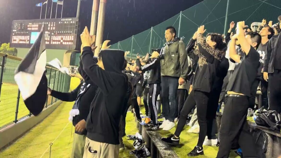 藤岡裕大応援歌  2025/5/9 ライオンズ vs ロッテ  #chibalotte 県営大宮球場
