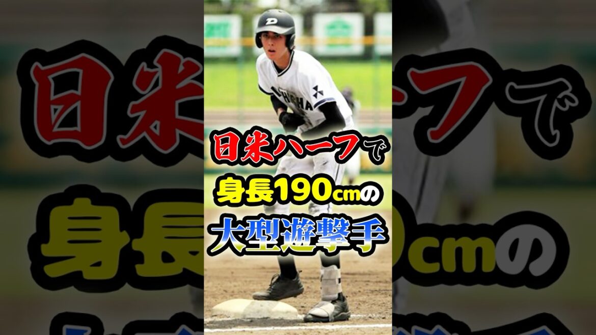 日米ハーフで190cmの「大型遊撃手」に関する雑学　#野球 #高校野球 #甲子園