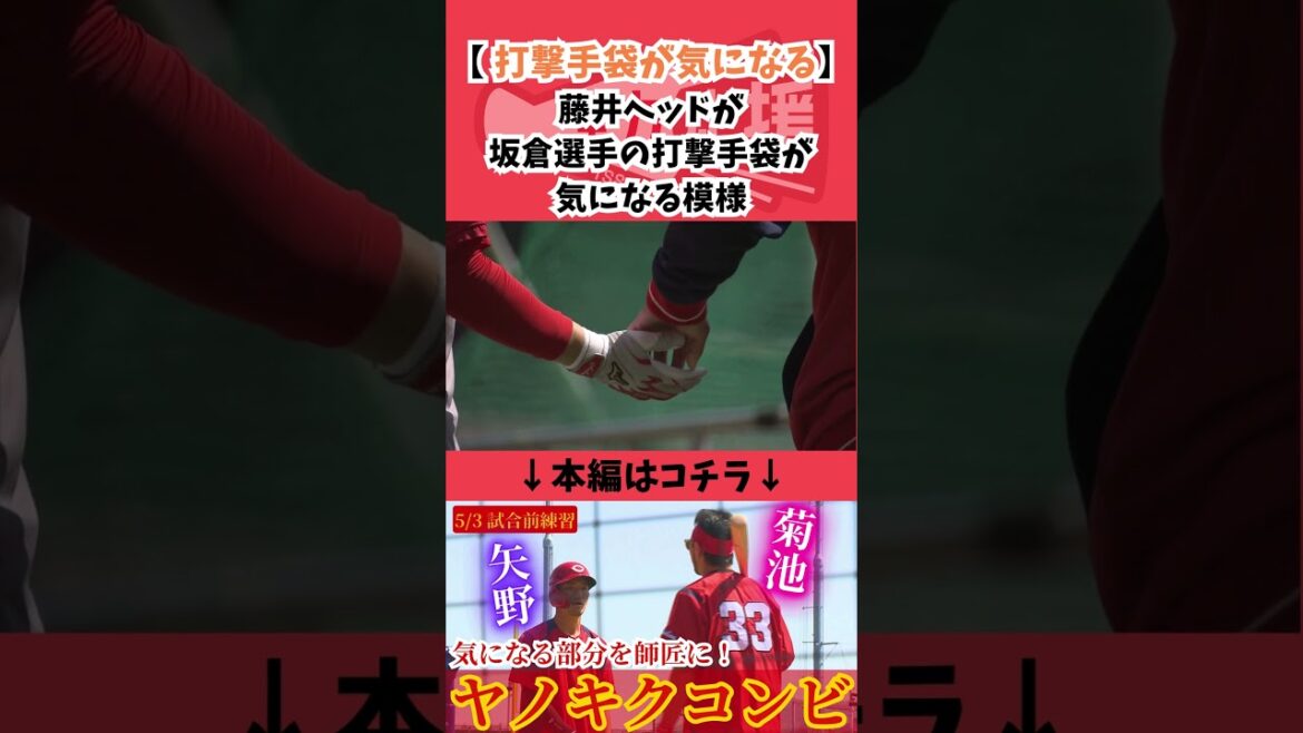 【 打撃手袋が気になる】坂倉選手の打撃手袋が気になる藤井ヘッド #広島 #プロ野球 #カープ #坂倉将吾 #藤井彰人