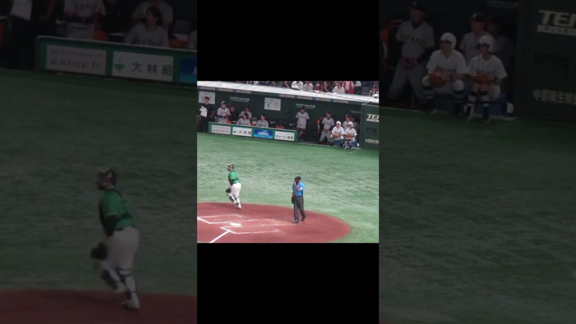 立岡宗一郎のヒットと拍手するベンチの門脇誠や萩尾匡也（2024年6月22日 読売ジャイアンツ対ヤクルトスワローズ）