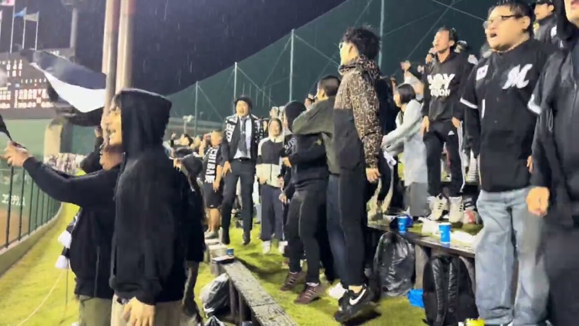 チャンステーマ5 2025/5/9 ライオンズ vs ロッテ #chibalotte 県営大宮球場 チャンステーマ5 2025/5/9 ライオンズ vs ロッテ #chibalotte 県営大宮球場