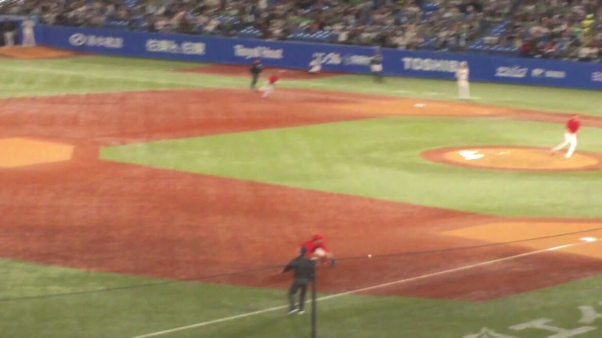 広島 小園海斗 ナイスプレー　ヤクルト vs 広島　2025年5月7日(水) 神宮球場