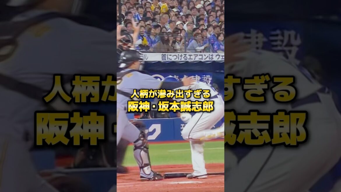 皆んなが好きになる‼️