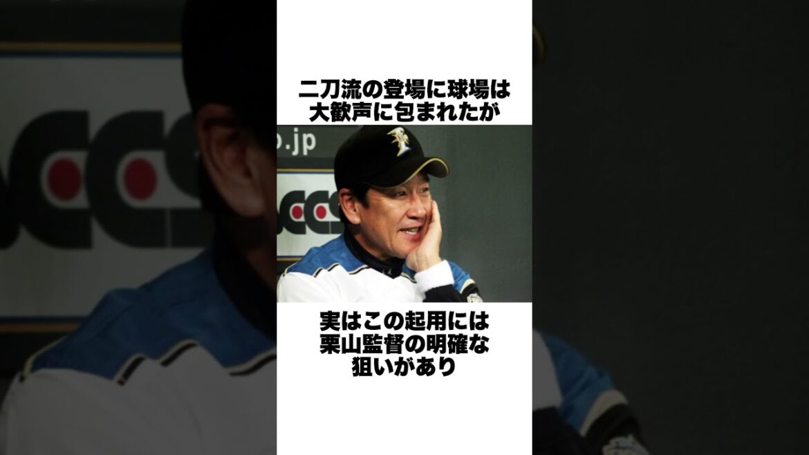 「満塁サヨナラの場面で杉谷拳士に代打」大谷翔平についての雑学#野球 #野球雑学#日本ハムファイターズ