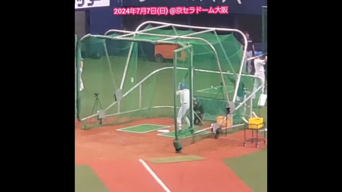 20240707　#水谷瞬　#打撃練習　#現役ドラフト　#現ドラ　北海道日本ﾊﾑﾌｧｲﾀｰｽﾞ@京ｾﾗﾄﾞｰﾑ大阪･ﾚﾌﾄ外野下段