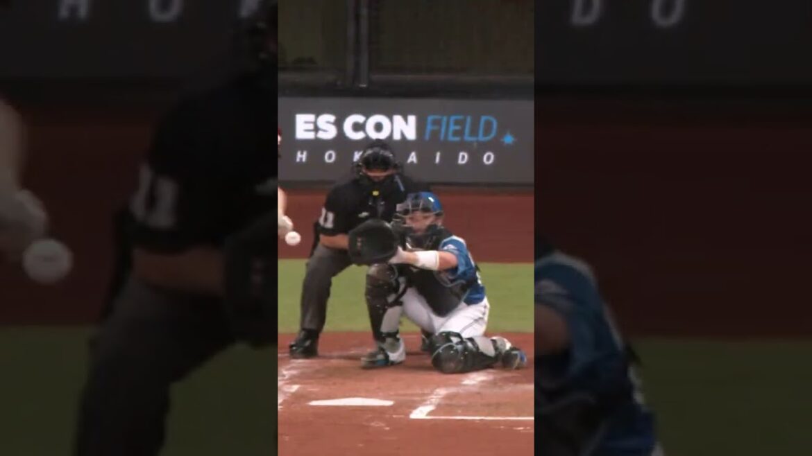 【激闘！万波逆転満塁HRで乱打戦に勝利！】5/10  vs.東北楽天ゴールデンイーグルスハイライト