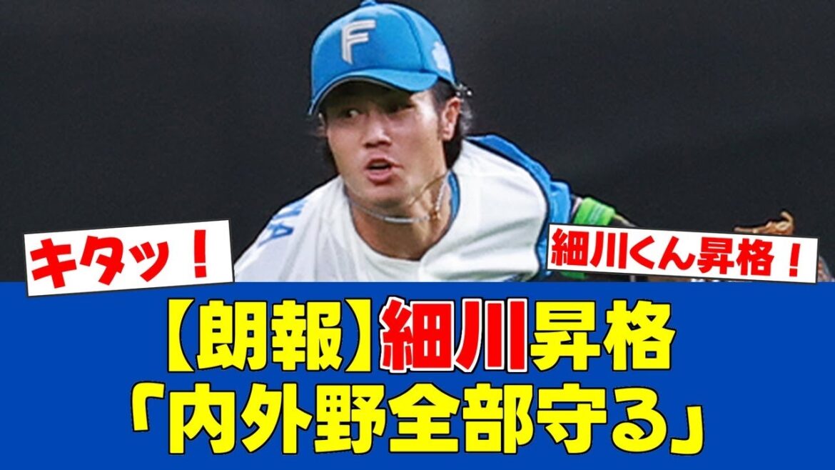 【朗報】細川凌平、今季初昇格！「内外野全部守る」マルチな活躍へ意気込み！【日ハムファンの反応】【F速報】