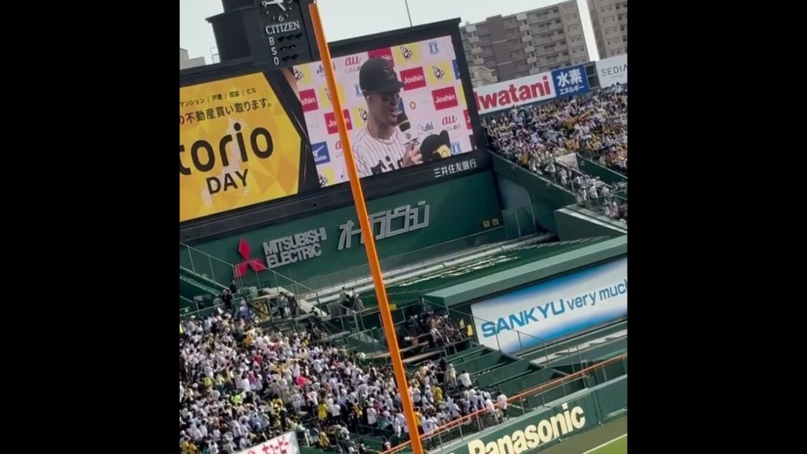 【好きな髪型は？】キッズTORACOの質問にイケメン回答をする森下 佐藤 村上 2025.5.10 TORACOデー