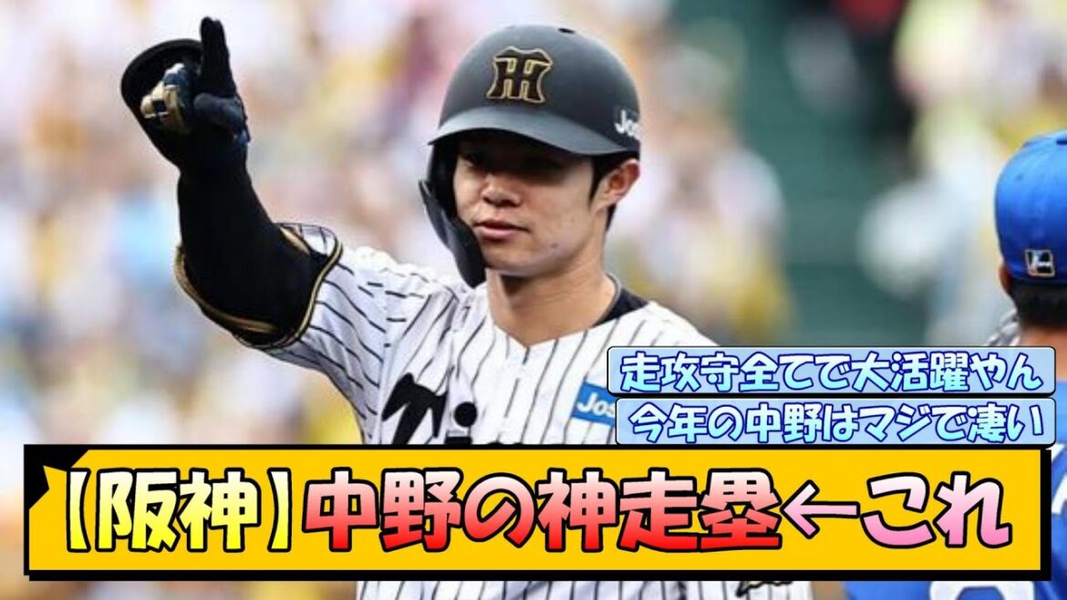 【阪神】中野の神走塁←これ 【阪神】中野の神走塁←これ