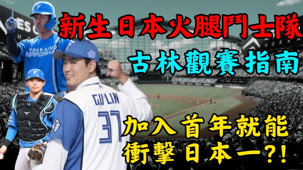 【日本職棒】新生日本火腿鬥士隊 -- 古林的隊友們與觀賽指南｜站穩先發｜加入首年就能衝擊日本一!?