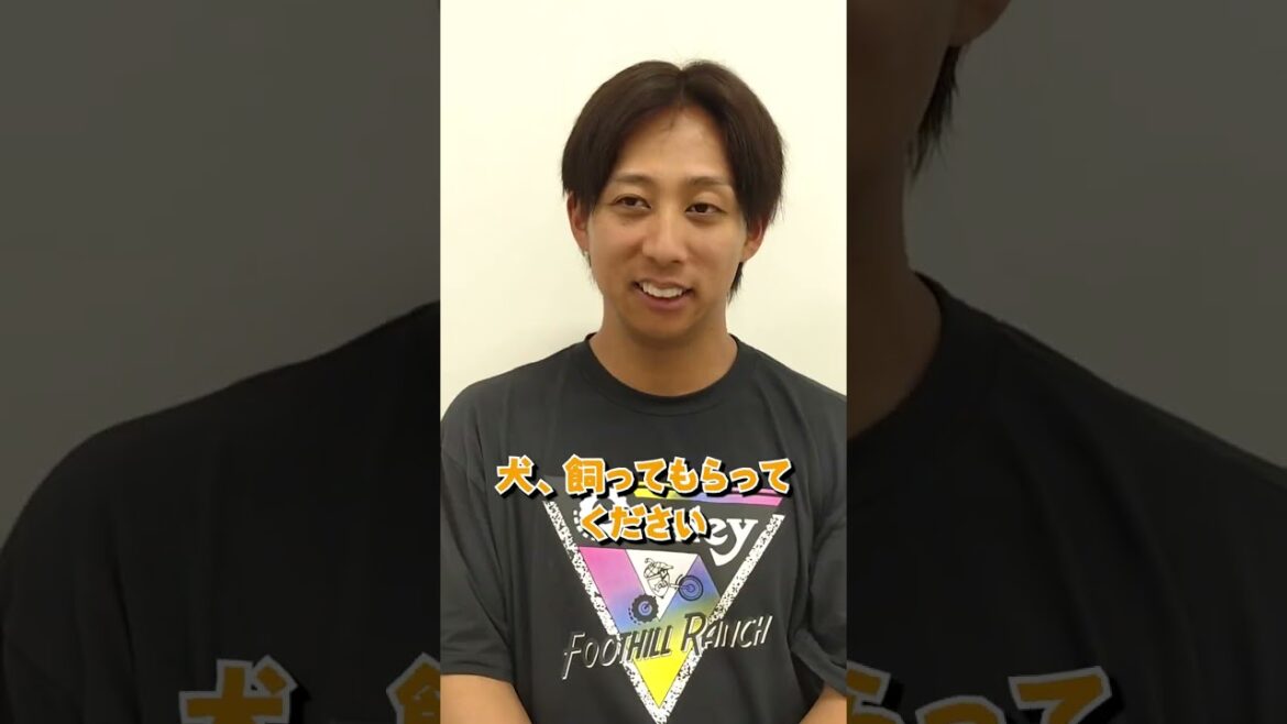 Hiroshima-Toyo-Carp: AI広報河内(羽月選手) AI広報河内(羽月選手)