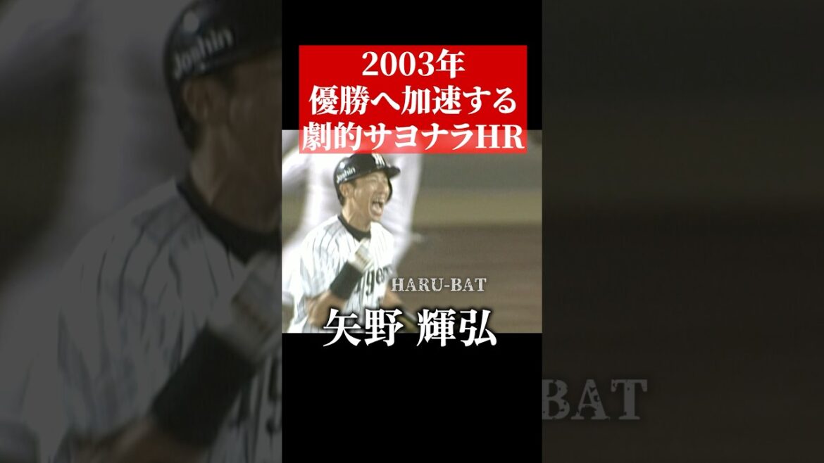 矢野輝弘、サヨナラホームランをぶっ放す #shorts