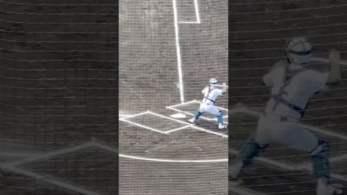 専大松戸　森岡捕手2塁送球 #高校野球 #春季大会#shorts#short#野球#専大松戸