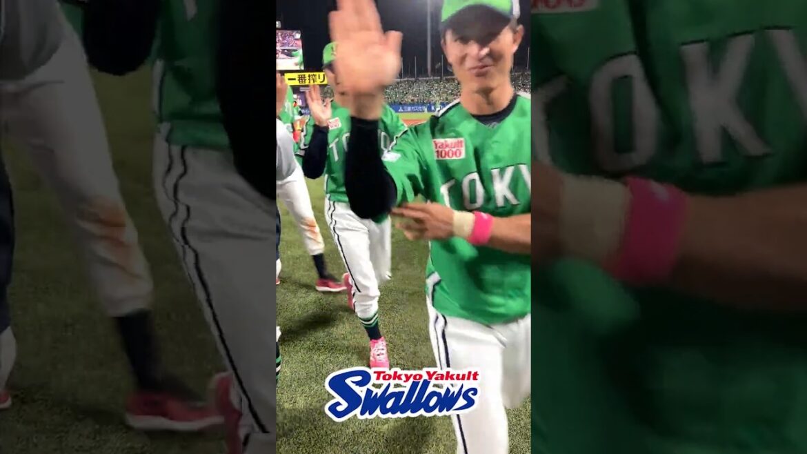 勝利後のハイタッチ #swallows #shorts