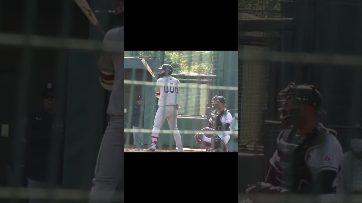 【巨人】育成の坂本勇人のバッティングフォーム（春季リーグ 千葉ロッテマリーンズ対 読売ジャイアンツ2024年3月14日）