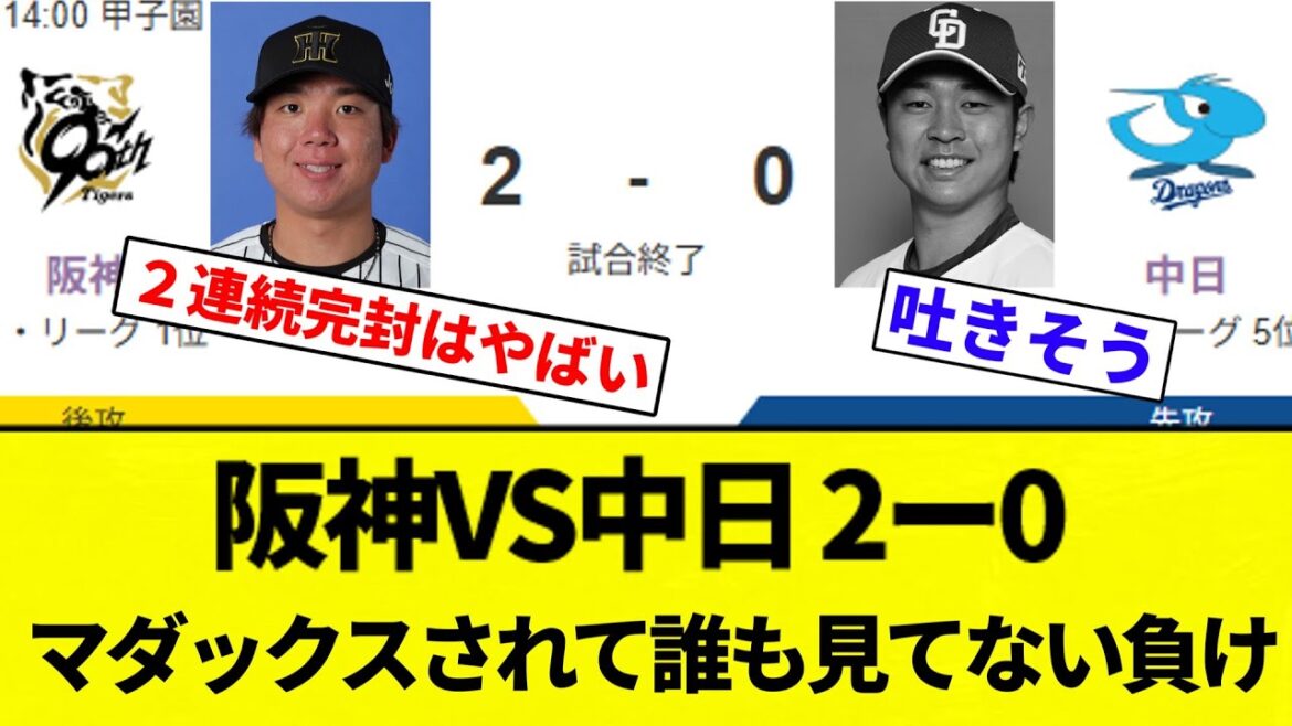 【ちゅにどらダイマックス】阪神VS中日 2ー0 マダックスされて誰も見てない負け【プロ野球反応集】【2chスレ】【なんG】