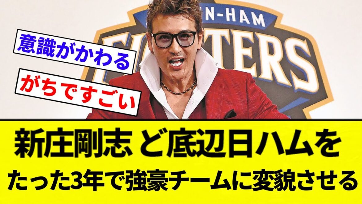 【新庄識】新庄剛志、ど底辺北海道日本ハムファイターズをたった3年で強豪チームに変貌させる【プロ野球反応集】【2chスレ】【なんG】