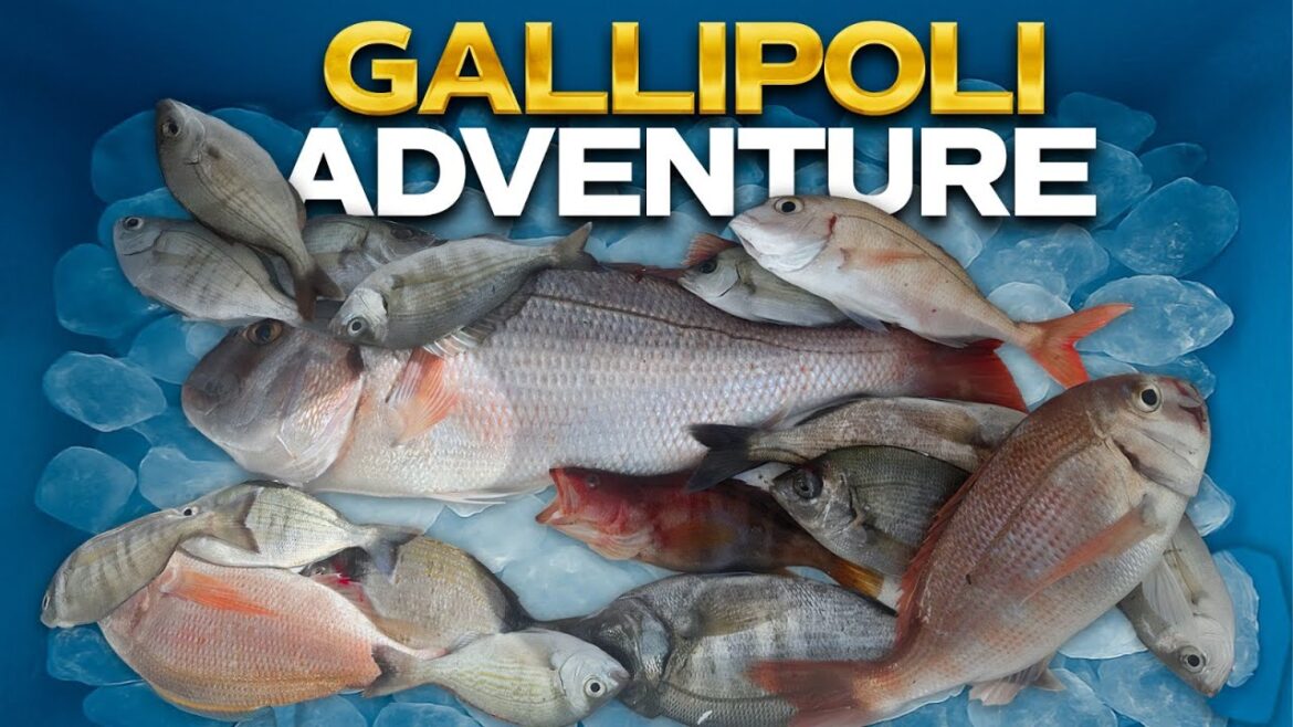 Red Rockfish Catching Techniques on a 12-Meter Boat: From Istanbul to Gallipoli