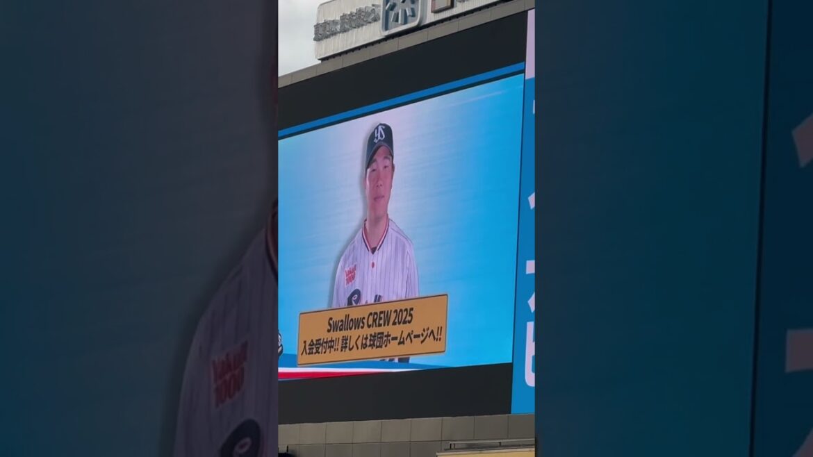 松本直樹選手がスワクル宣伝！ヤクルトスワローズ