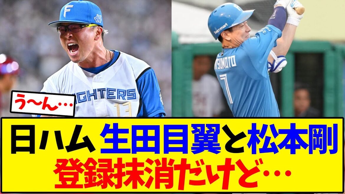 日ハム 生田目翼と松本剛 登録抹消だけど…