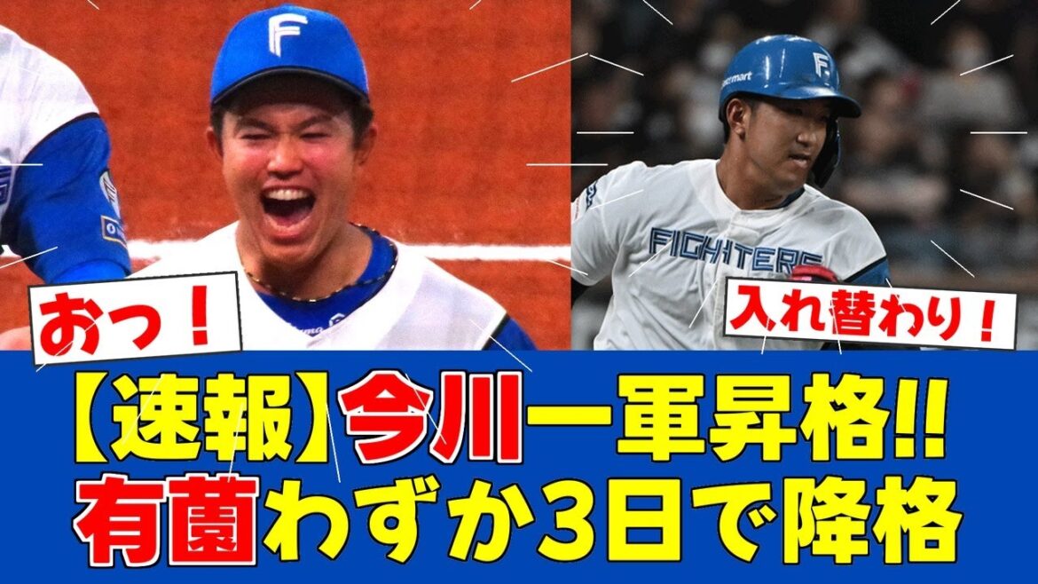 【朗報&悲報】今川.406で1軍昇格!有薗は3日でまさかの抹消…【日ハムファンの反応】【F速報】 【朗報&悲報】今川.406で1軍昇格!有薗は3日でまさかの抹消…【日ハムファンの反応】【F速報】