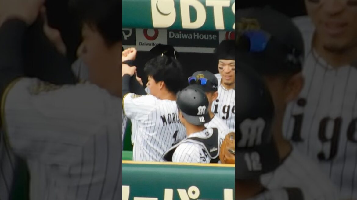 【試合前からノリノリ】試合前ハイタッチでふざける森下翔太 【試合前からノリノリ】試合前ハイタッチでふざける森下翔太