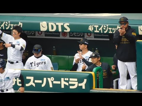 【森下が止まらない】森下翔太の先制タイムリーで生還した中野拓夢を迎える阪神ベンチ 【森下が止まらない】森下翔太の先制タイムリーで生還した中野拓夢を迎える阪神ベンチ