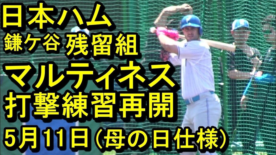 日本ハム鎌ケ谷残留組練習、マルちゃん打撃練習再開2025.5.11 日本ハム鎌ケ谷残留組練習、マルちゃん打撃練習再開2025.5.11