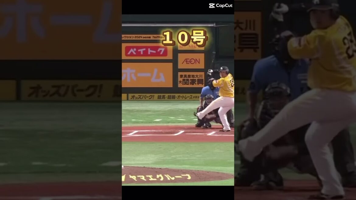 ｛再投稿｝2024シーズン山川穂高ホームラン集❷#プロ野球  #野球  #山川穂高 #ホームラン集 #解放エクササイズ #音はめ #ホームラン王 #ホークス #ソフトバンク #shorts