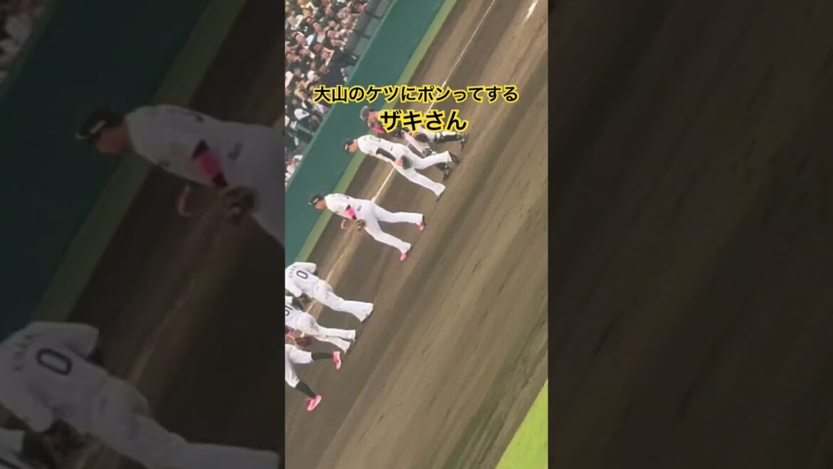 #岩崎優 大山のケツにポンってする #大山悠輔 #阪神タイガース 母の日