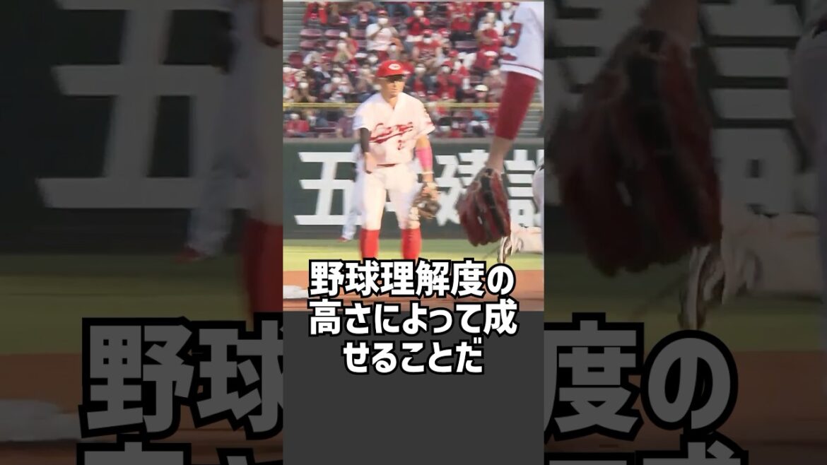 【頭脳明晰】広島 菊池が余裕の指摘