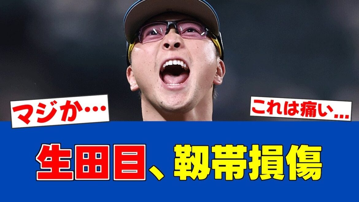 【悲報】生田目翼、右前距腓靱帯損傷で約3週間の離脱…ブルペンの柱を失う【日ハムファンの反応】【F速報】