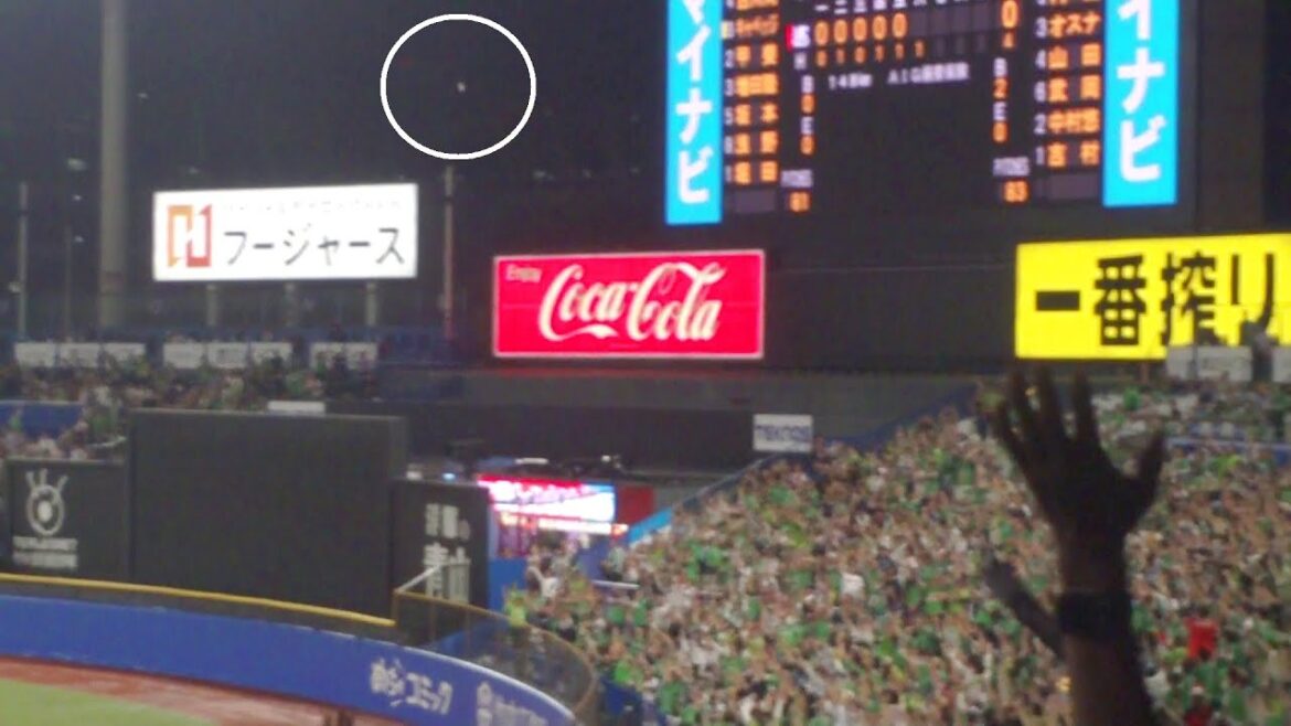 ヤクルト 茂木栄五郎 先制2ランホームラン 第4号　ヤクルト vs 巨人　2025年5月11日(日)　神宮球場