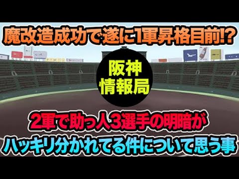 【魔改造成功で1軍昇格目前!?】2軍で助っ人3選手の明暗がハッキリ分かれてる件について【阪神タイガース】 【魔改造成功で1軍昇格目前!?】2軍で助っ人3選手の明暗がハッキリ分かれてる件について【阪神タイガース】