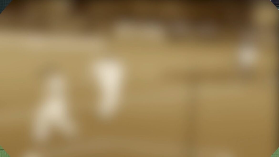 ［お試し動画］チャンテ4➡︎古賀悠斗タイムリーで7点目➡︎地平を駈ける獅子を見た➡︎サンバソーリャセ【西武7-0ロッテ】2025/5/10