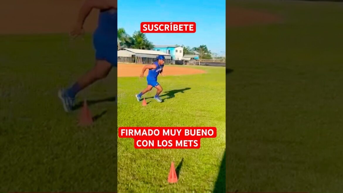 ALEX ACOSTA muy buen TALENTO firmado de NEW YORK METS #shorts #baseball #mets #ny