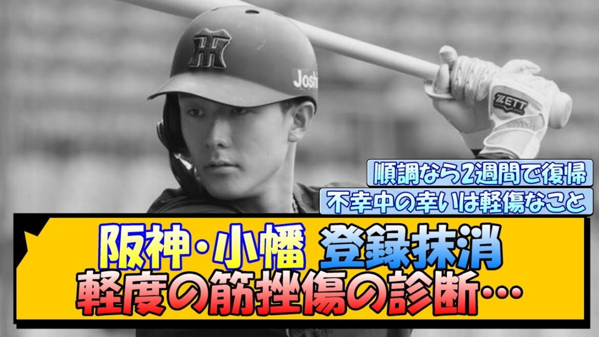 阪神・小幡 登録抹消 軽度の筋挫傷の診断… 阪神・小幡 登録抹消 軽度の筋挫傷の診断…