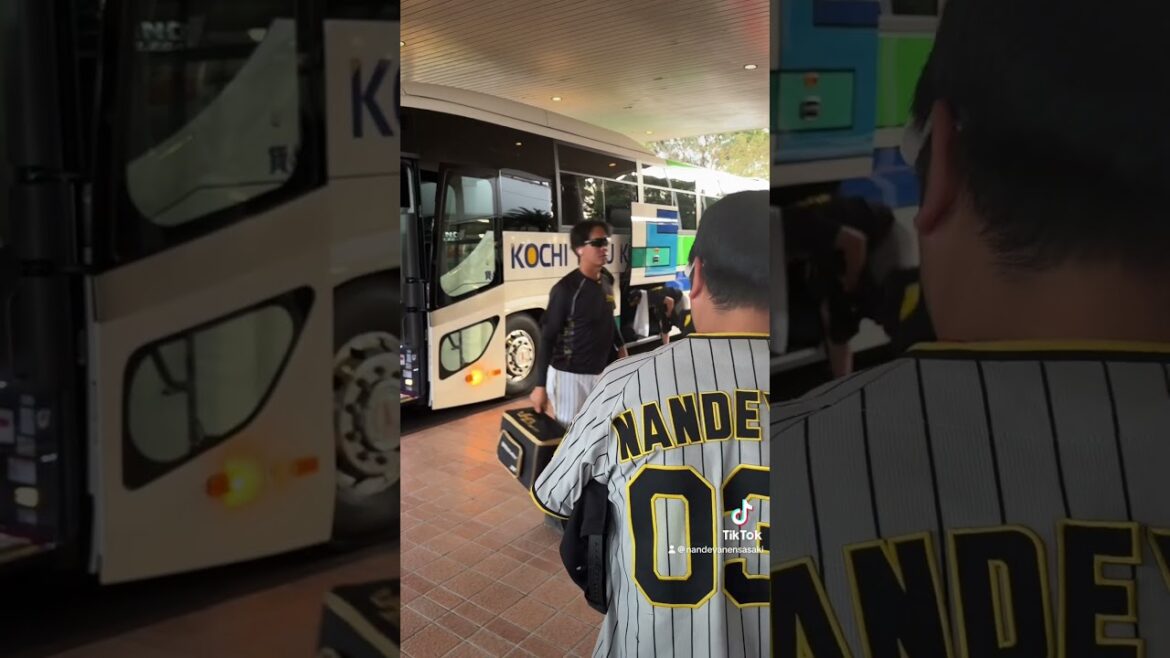 井上広大選手のファンサ　2024/11/7 #阪神タイガース　#阪神  #井上広大 #阪神タイガースファン　#阪神ファン