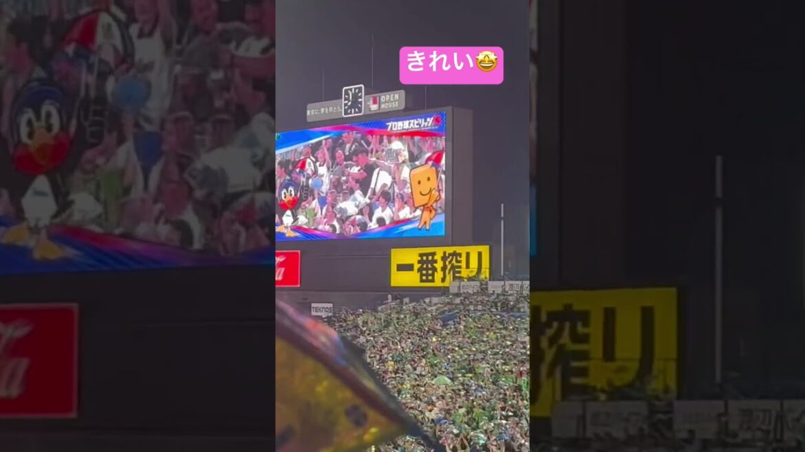 ヤクルトスワローズ！ラッキーセブン。傘キラキラ