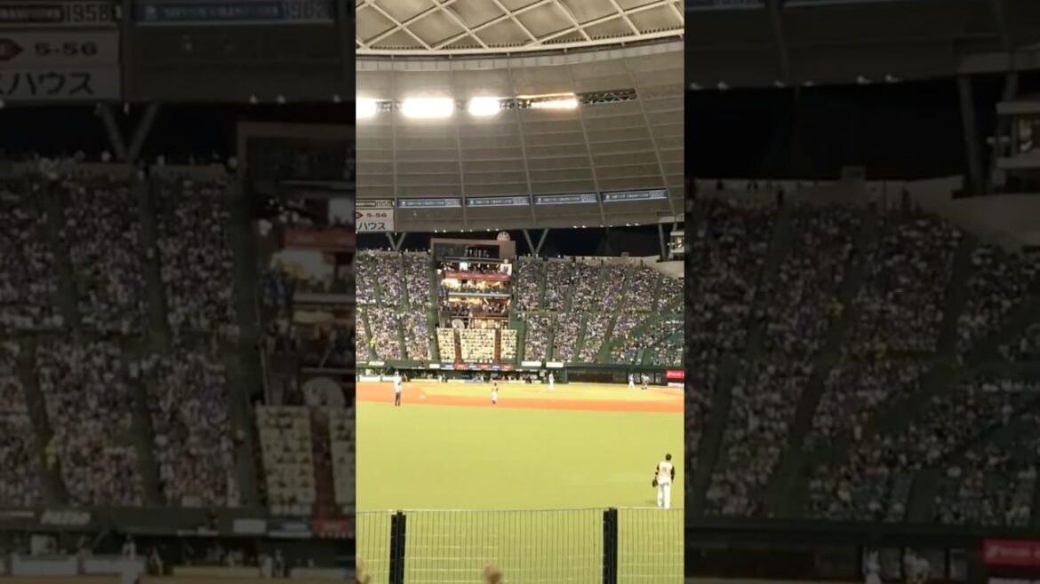 埼玉西武ライオンズ 金子侑司応援歌 #shorts #プロ野球 #応援歌 #金子侑司