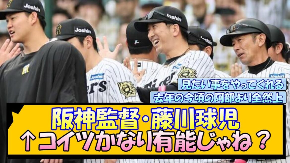 阪神監督・藤川球児←コイツかなり有能じゃね? 阪神監督・藤川球児←コイツかなり有能じゃね?