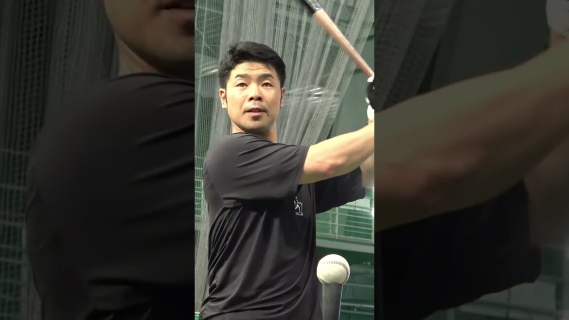 #最近のコンちゃん #近藤健介 #ひたすら打ちまくり #タマスタ筑後 #shorts