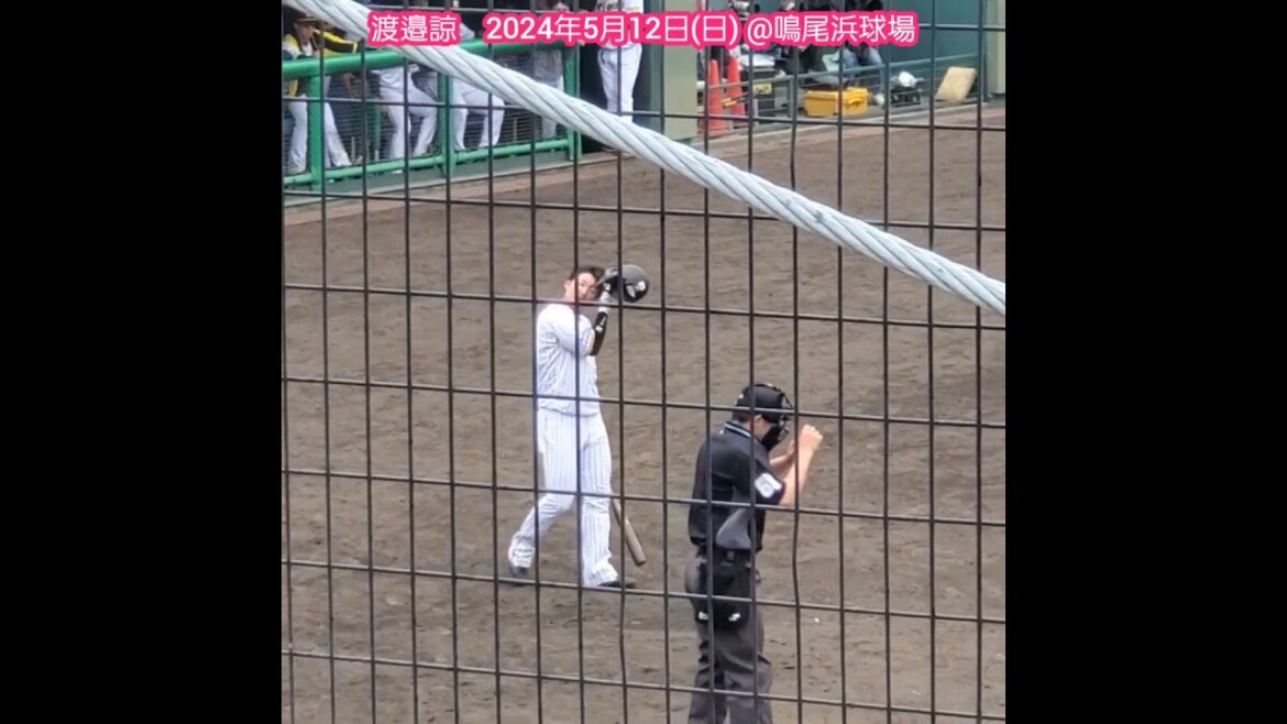 20240512　ﾌｧｰﾑ調整中、#渡邉諒 のﾊﾞｯﾃｨﾝｸﾞ打撃　#shorts　#打撃フォーム@阪神鳴尾浜球場［ｳｴｽﾀﾝ･ﾘｰｸﾞ 2軍戦］鳴尾浜