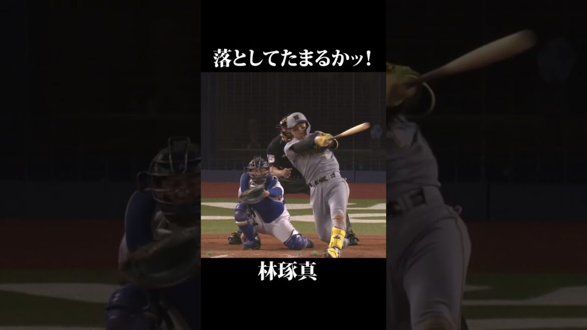 落としてたまるかッ！林、地面スレスレの打球を見事キャッチ！