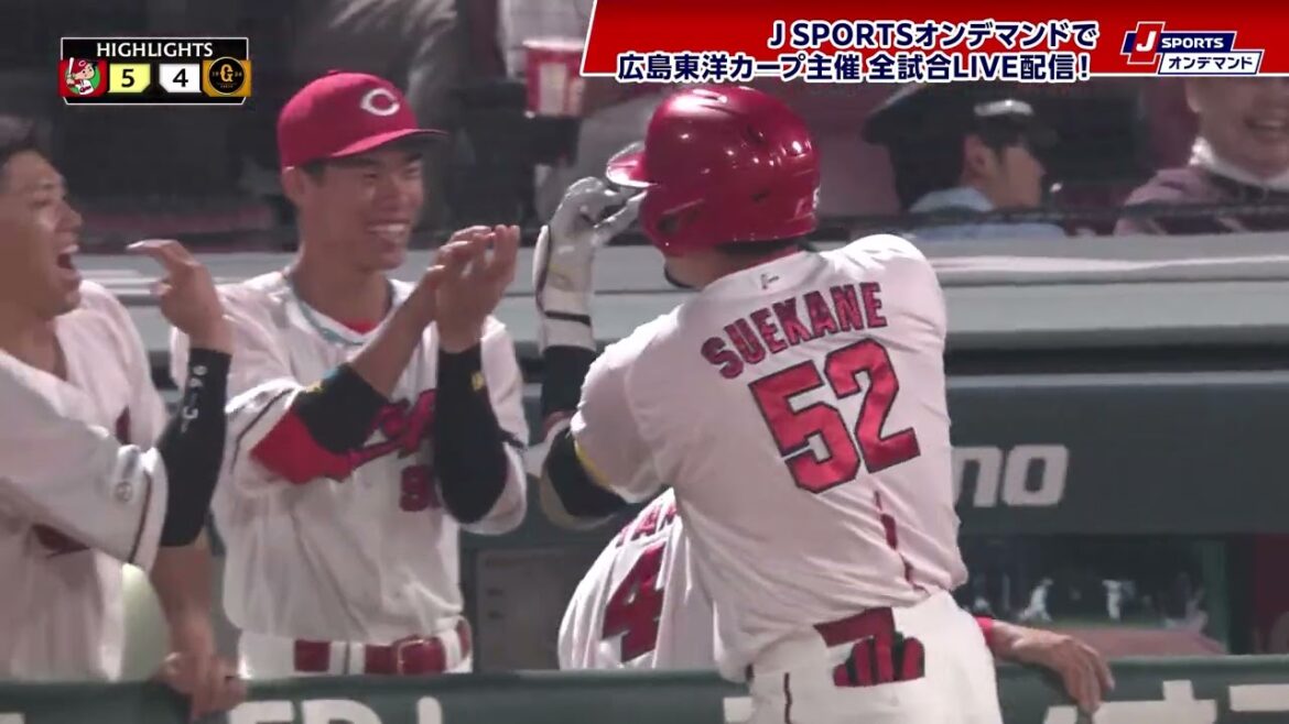 【ハイライト】広島 vs.巨人｜プロ野球2025公式戦(5月13日)#carp